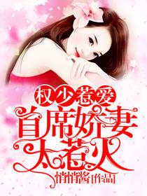 权少惹爱:首席娇妻太惹火