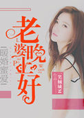 暖婚蜜爱:老婆晚上好