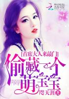 首席大人来敲门:偷藏一个萌宝宝