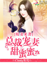 暖妻来袭:总裁宠妻甜蜜蜜