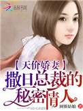 天价娇妻:撒旦总裁的秘密情人