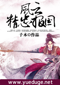 风云:精忠报国