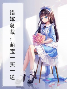错嫁总裁:萌宝一买一送