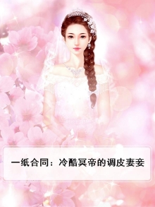 一纸合同:冷酷冥帝的调皮妻妾