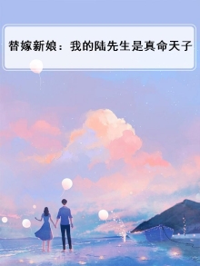 替嫁新娘:我的陆先生是真命天子