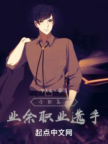 全职高手:业余职业选手 小说