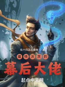 霍格沃茨的幕后大佬 小说