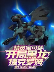 精灵宝可梦:开局黑龙捷克罗姆