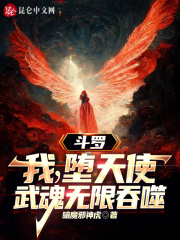 斗罗:我,堕天使,武魂无限吞噬