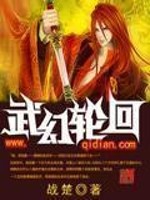 武幻轮回小说