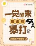 一觉醒来，我被虎鲸暴打！
