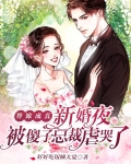 替嫁成真，新婚夜被傻子总裁虐哭了