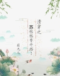 清穿之苏格格晋升路TXT