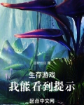 生存游戏，我能看到提示