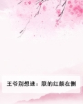 王爷别想逃：朕的红颜在侧