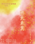 野火乘翼【电竞】