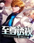 至尊透视