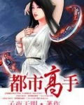 都市高手叶昊