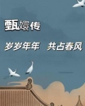 甄嬛传之岁岁年年，共占春风