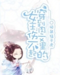 穿到肉文里的女主伤不起