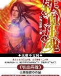 铁血丹魂