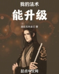 我的法术能升级