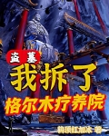 盗墓:我拆了格尔木疗养院无修改