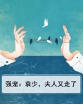 强宠：袁少，夫人又走了