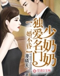 二婚不昏，独爱名门少奶奶