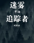 迷雾中的追踪者