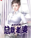 我的娇媚总裁老婆