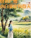 七零:不嫁知青,嫁军官最新