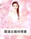 霸道总裁纯情妻
