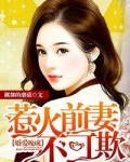 婚爱晚成，惹火前妻不可欺
