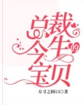 总裁的今生宝贝