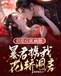 招惹反派，疯批暴君掳我花轿洞房