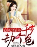 宦妃有喜：千岁，劫个色