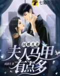 闪婚丑妻,夫人马甲有点多
