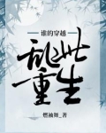 谁的穿越，乱此重生