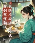 穿越到架空历史的小说