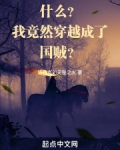 什么？我竟然穿越成了国贼？