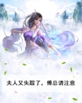 夫人又失踪了，傅总请注意