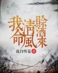 我命清风赊酒来