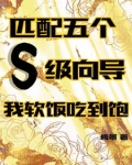 匹配五个S级向导，我软饭吃到饱
