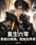 重生六零长嫂嫁进门