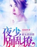 霸宠甜甜圈：夜少，别乱撩