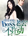 撩妻成瘾：boss老公，不许动