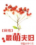 网游之最萌夫妇