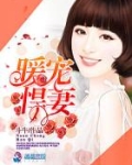 暖宠悍妻