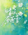 晴天不落雪女主是律师